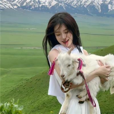 法证先锋5粤语
